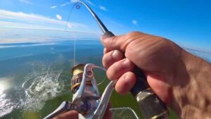 Рыбалка с профессиональным гидом