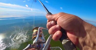 Рыбалка с профессиональным гидом